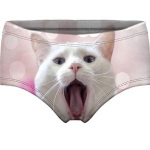 NWT Pretty Kitty Sassy Pants Panties Size L